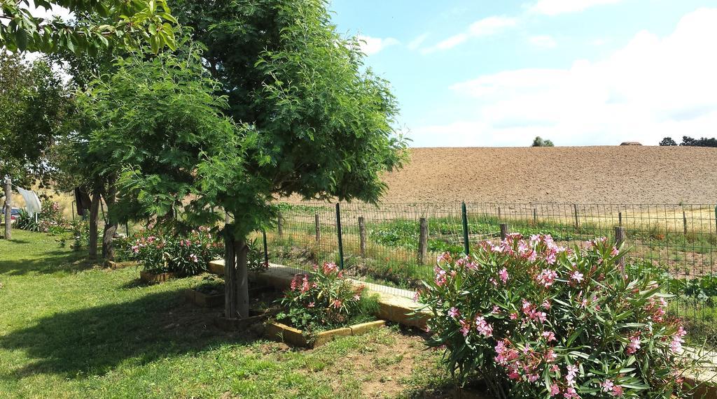 Agriturismo Airone Pitigliano Exterior photo